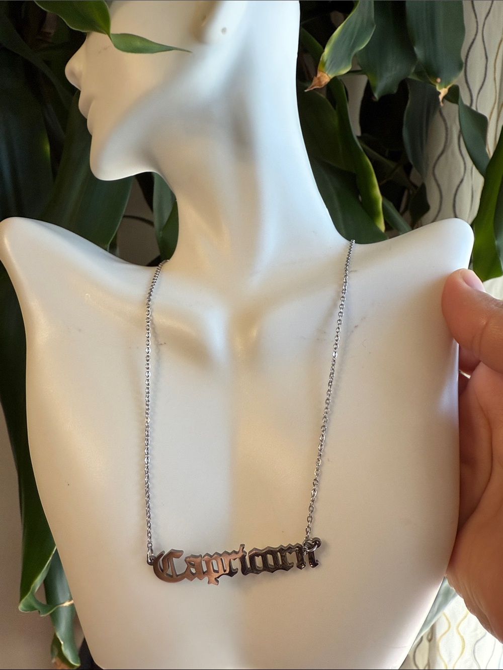 Capricorn Stainless Steel Nameplate Necklace in Silver